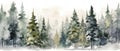 Beautiful watercolor coniferous forest illustration, Christmas fir trees, winter nature, holiday background Royalty Free Stock Photo