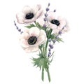 Beautiful watercolor floral bouquet with anemone and lavanda flowers. Stock illustration. Royalty Free Stock Photo