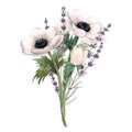 Beautiful watercolor floral bouquet with anemone and lavanda flowers. Stock illustration. Royalty Free Stock Photo