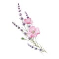 Beautiful watercolor floral bouquet with isolated lavanda and pink poppy flowers. Stock illustration. Royalty Free Stock Photo