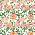 Beautiful watercolor floral seamless pattern. Blush pink garden roses, pastel color peonies, green leaves and foliage on white Royalty Free Stock Photo