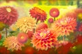 beautiful watercolor flower garden painting, colorfull Royalty Free Stock Photo