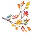 Watercolor fall tree branch Royalty Free Stock Photo