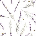 Beautiful watercolor floral seamless pattern with lavanda flowers. Stock illustration. Royalty Free Stock Photo