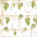Beautiful watercolor hand drawn seamless green and yellow pattern with grapes branches and leaves.  Isolated on white background. Royalty Free Stock Photo