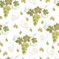 Beautiful watercolor hand drawn seamless green and yellow pattern with grapes branches and leaves.  Isolated on white background. Royalty Free Stock Photo