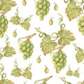 Beautiful watercolor hand drawn seamless green and yellow pattern with grapes branches and leaves.  Isolated on white background. Royalty Free Stock Photo