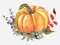 Beautiful illustration with watercolors pumpkin
