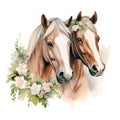 Beautiful watercolor illustration of couple horses in love with flowers. Great in the design of printing, textiles Royalty Free Stock Photo