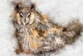 Beautiful watercolor illustration of cute owl. Wild bird design. Forest wildlife Royalty Free Stock Photo