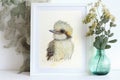 Beautiful watercolor illustration of a young baby Kookaburra Royalty Free Stock Photo