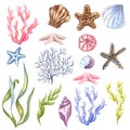 Beautiful Watercolor nautical set. Include lighthouse, anchor, corals, seaweed, whale, shells, steering-wheel and buoy