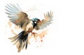 Beautiful watercolor painting of red billed blue magpie bird spreading its wings to fly. Birds. Wildlife Animals. Illustration,