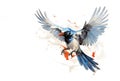 Beautiful watercolor painting of red billed blue magpie bird spreading its wings to fly. Birds. Wildlife Animals. Illustration,