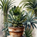 Beautiful watercolor painting of suculent and other tropical plants in pot in Scandinavian style AI Computer Generated Image