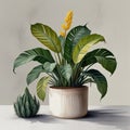 Beautiful watercolor painting of suculent and tropical plant in pot in Scandinavian style AI Computer Generated Image