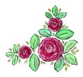 Beautiful watercolor roses frame