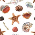 Beautiful watercolor seamless pattern with colorful sea shells and stars for decorative design. Artistic backdrop Royalty Free Stock Photo