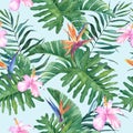 Beautiful watercolor seamless pattern with exotic flowers and leaves on a delicate blue background. Royalty Free Stock Photo