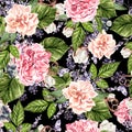 Beautiful watercolor seamless pattern with flowers of rose, peony, lavender and cotton. Royalty Free Stock Photo