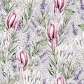 Beautiful watercolor seamless pattern  with protea flowers, gypsophila, lavender and eucalyptus leaves Royalty Free Stock Photo