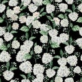 BeauBeautitiful Beautiful Watercolor  seamless pattern with spring spirea flowers.Watercolor  seamless pattern with spirea flowers Royalty Free Stock Photo