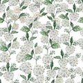 Beautiful Watercolor  seamless pattern with spring spirea flowers and green leaves. Royalty Free Stock Photo