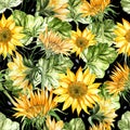 Beautiful watercolor seamless pattern with sunflower and leaves.