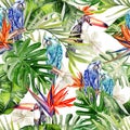 Beautiful watercolor seamless, tropical jungle floral pattern background with palm leaves, flower hibiscus, bird tukan and parrot.