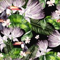 Beautiful watercolor seamless, tropical pattern background with palm leaves, flower of roses, capers and bird tukan. Royalty Free Stock Photo