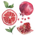 Beautiful watercolor set with fruits pomegranate. Isolated on white. Hand drawing Royalty Free Stock Photo