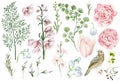 Beautiful watercolor set with pink spring flowers and buds, leaves and bird