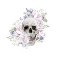 Beautiful watercolor skull with flowers of peony and roses