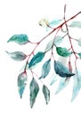 Beautiful watercolor tropical leaves painted on paper, top view