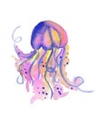 Beautiful watercolor vibrant picture of a floating jellyfish