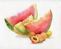 Beautiful watercolor watermelon Royalty Free Stock Photo