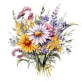 beautiful watercolor wildflowers bouquet with multiple flowers Royalty Free Stock Photo