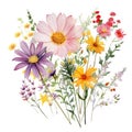 beautiful watercolor wildflowers bouquet with multiple flowersWatercolor for decoration Royalty Free Stock Photo