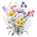 beautiful watercolor wildflowers bouquet with multiple flowersWatercolor for decoration Royalty Free Stock Photo