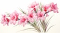 Beautiful Watercolour Carnation Illustration With Yucca Tree