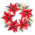 Beautiful watercolour red poinsettia Christmas star flower festive wreath frame border Royalty Free Stock Photo