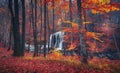 Beautiful waterfall in autumn forest in crimean mountains at sun Royalty Free Stock Photo