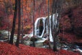 Beautiful waterfall in autumn forest in crimean mountains at sun Royalty Free Stock Photo