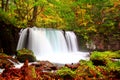 Beautiful waterfall during autumn at oirase walking trail