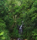 beautiful waterfall Royalty Free Stock Photo