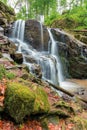 Beautiful waterfall in the beech forest