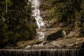 Beautiful waterfall called `Cascatinha Taunay` on green nature in the Atlantic Rainforest, Tijuca Forest National Park Royalty Free Stock Photo