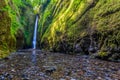 Beautiful waterfall and canyon in Oneonta Gorge trail, Oregon. Royalty Free Stock Photo