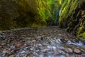 Beautiful waterfall and canyon in Oneonta Gorge trail, Oregon. Royalty Free Stock Photo