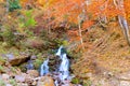 Beautiful waterfall in the Carpathians, Ukraine. Autumn forest a